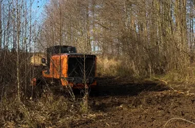 Mulczer leśny, usługi mulczowania, mulczowanie pod inwestycje