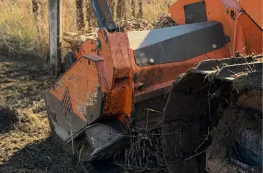 Mulczer leśny, usługi mulczowania, mulczowanie pod inwestycje