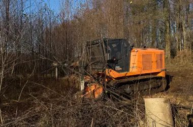 Mulczer leśny, usługi mulczowania, mulczowanie pod inwestycje