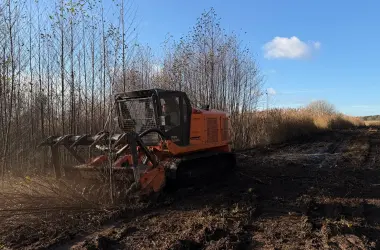 Mulczer leśny, usługi mulczowania, mulczowanie pod inwestycje