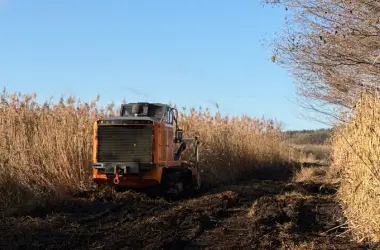 Mulczer leśny, usługi mulczowania, mulczowanie pod inwestycje